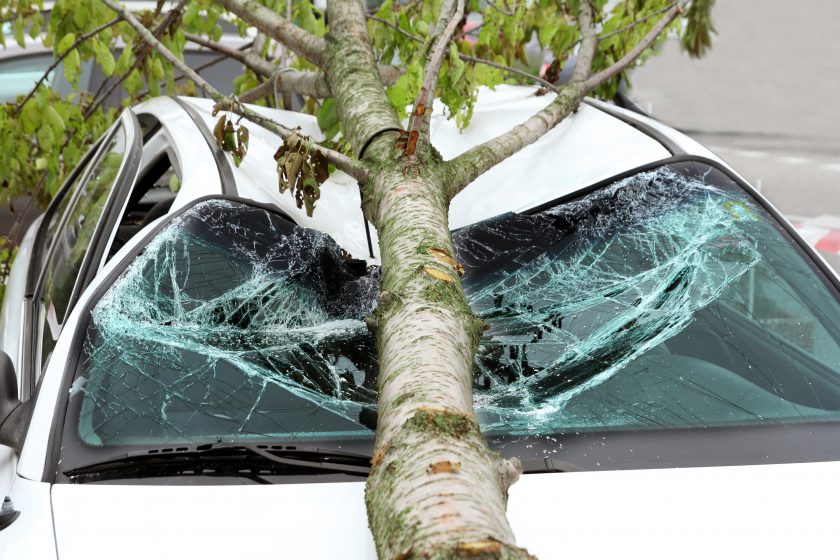 Stormschade voorkomen