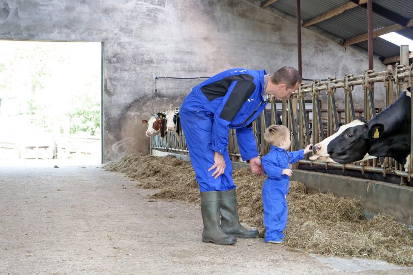 Voorkom brand in uw hooi- en stro-opslag